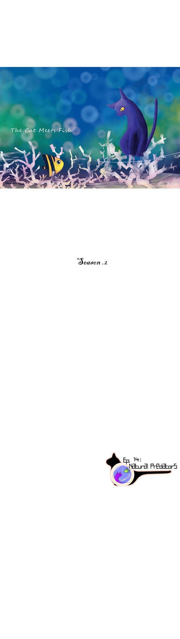 The Cat Meets Fish Chapter 14 page 1 - Chapter 14 : Season.2 Ep.14: Natural Predators