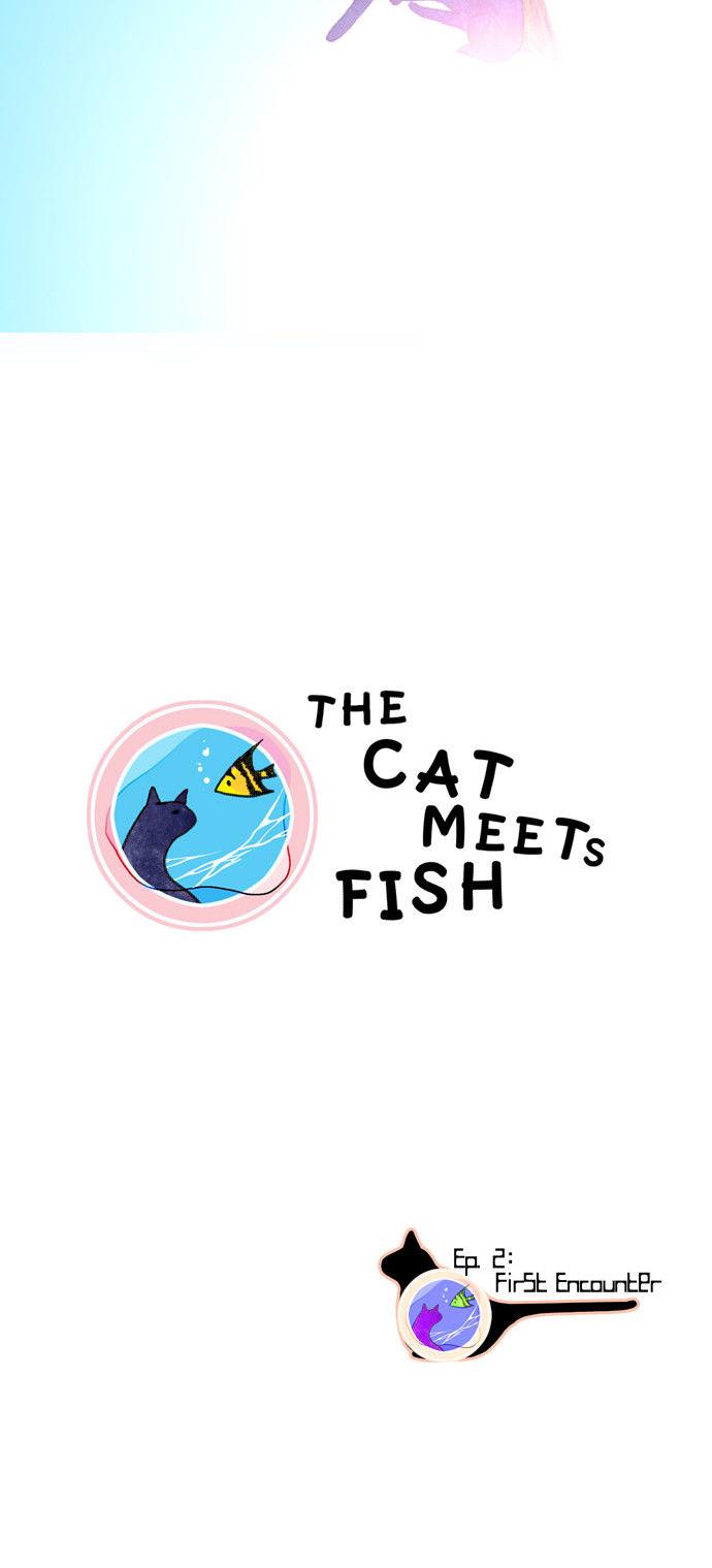 The Cat Meets Fish Chapter 2 page 3 - Chapter 2 : Ep.2 - First Encounter