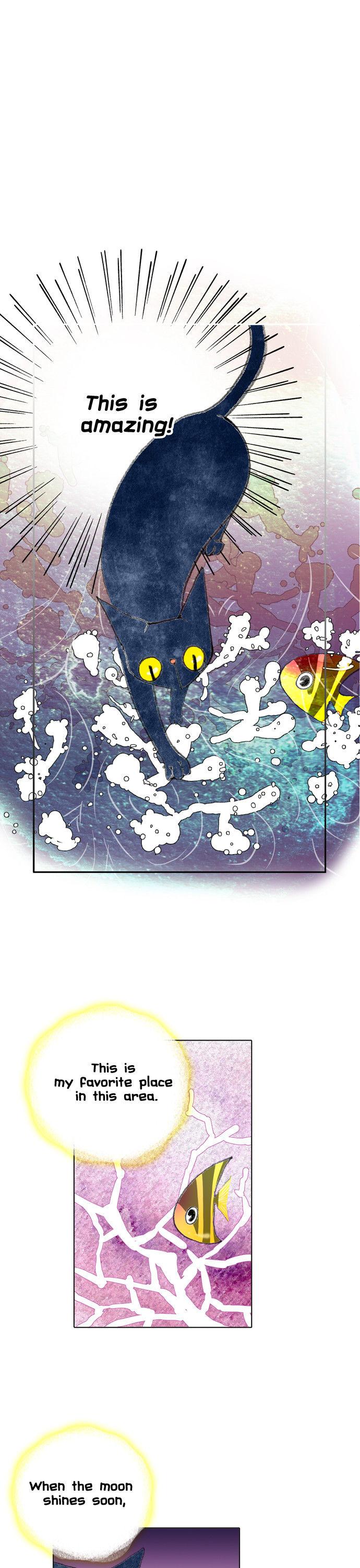 The Cat Meets Fish Chapter 6 page 10 - Chapter 6 : Ep.6 -It's coral?!