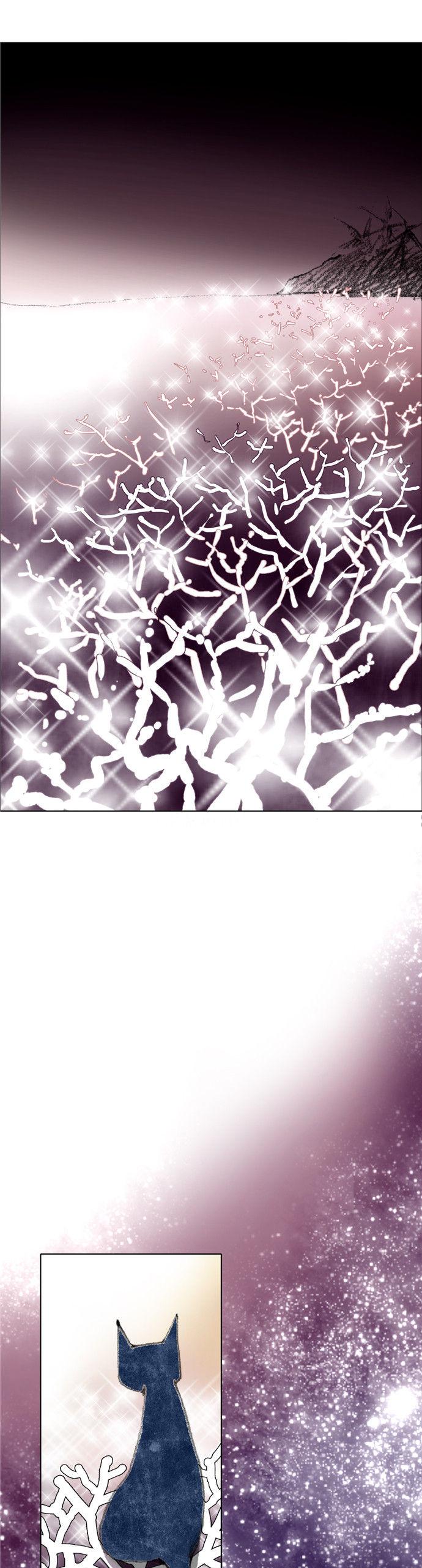 The Cat Meets Fish Chapter 6 page 13 - Chapter 6 : Ep.6 -It's coral?!