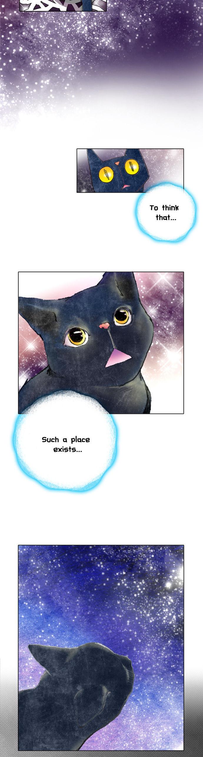 The Cat Meets Fish Chapter 6 page 14 - Chapter 6 : Ep.6 -It's coral?!
