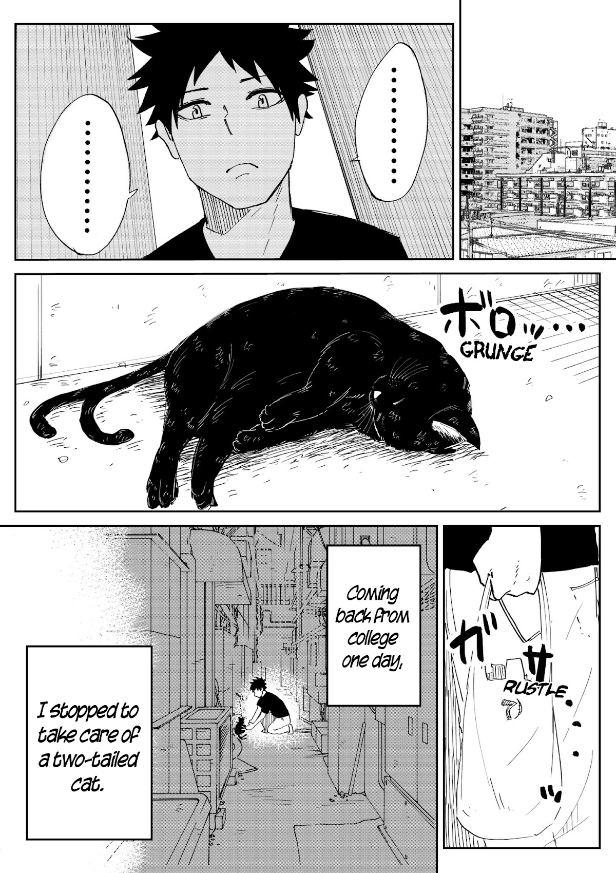 The Cat Who Wanted to be a Bride Chapter 1 page 1 - Chapter 1