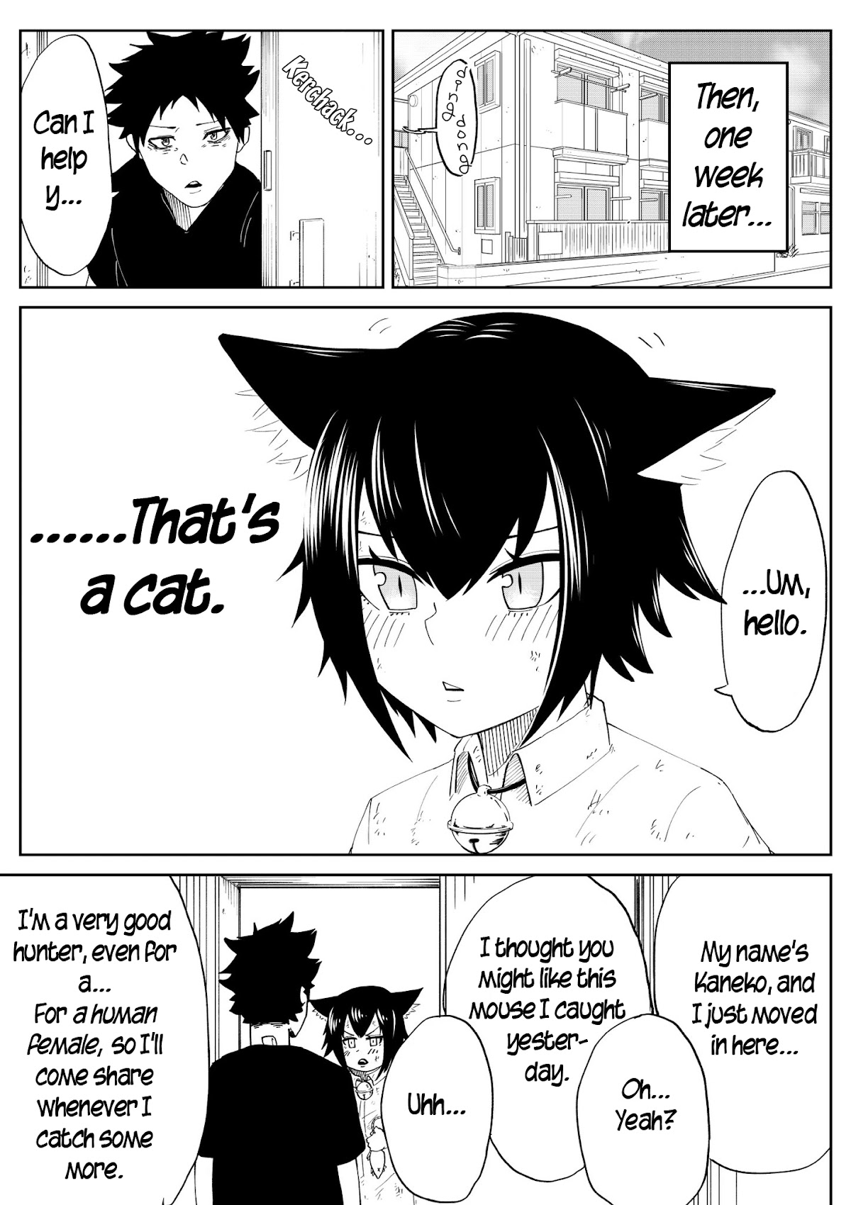 The Cat Who Wanted to be a Bride Chapter 1 page 2 - Chapter 1