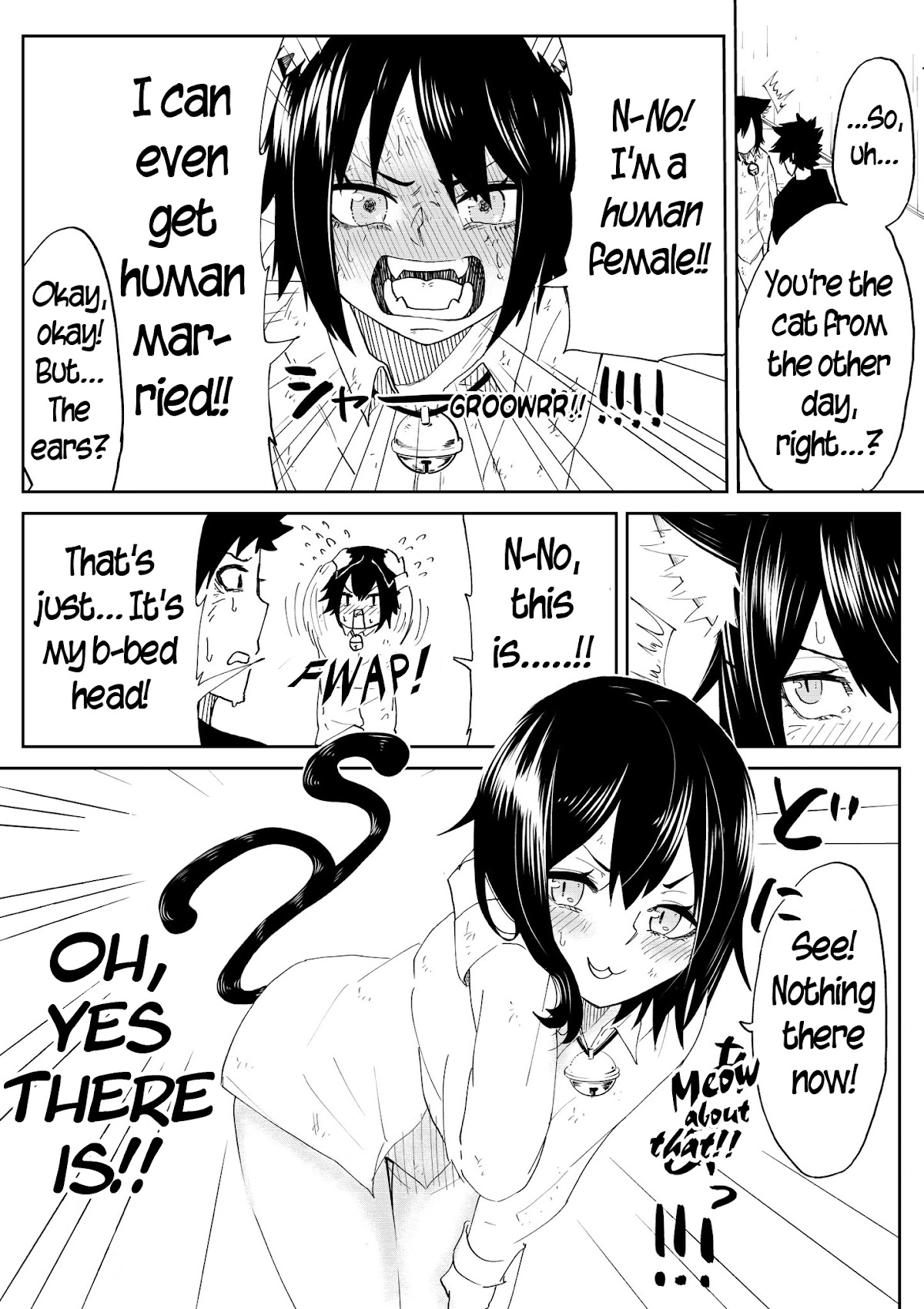The Cat Who Wanted to be a Bride Chapter 1 page 3 - Chapter 1