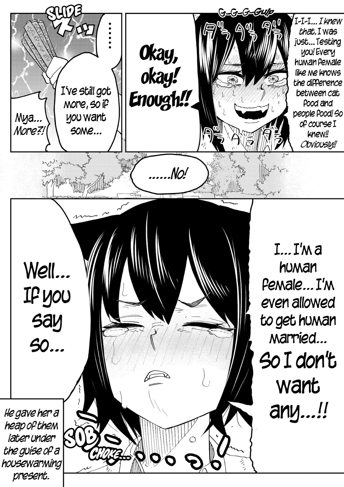 The Cat Who Wanted to be a Bride Chapter 2 page 4 - Chapter 2
