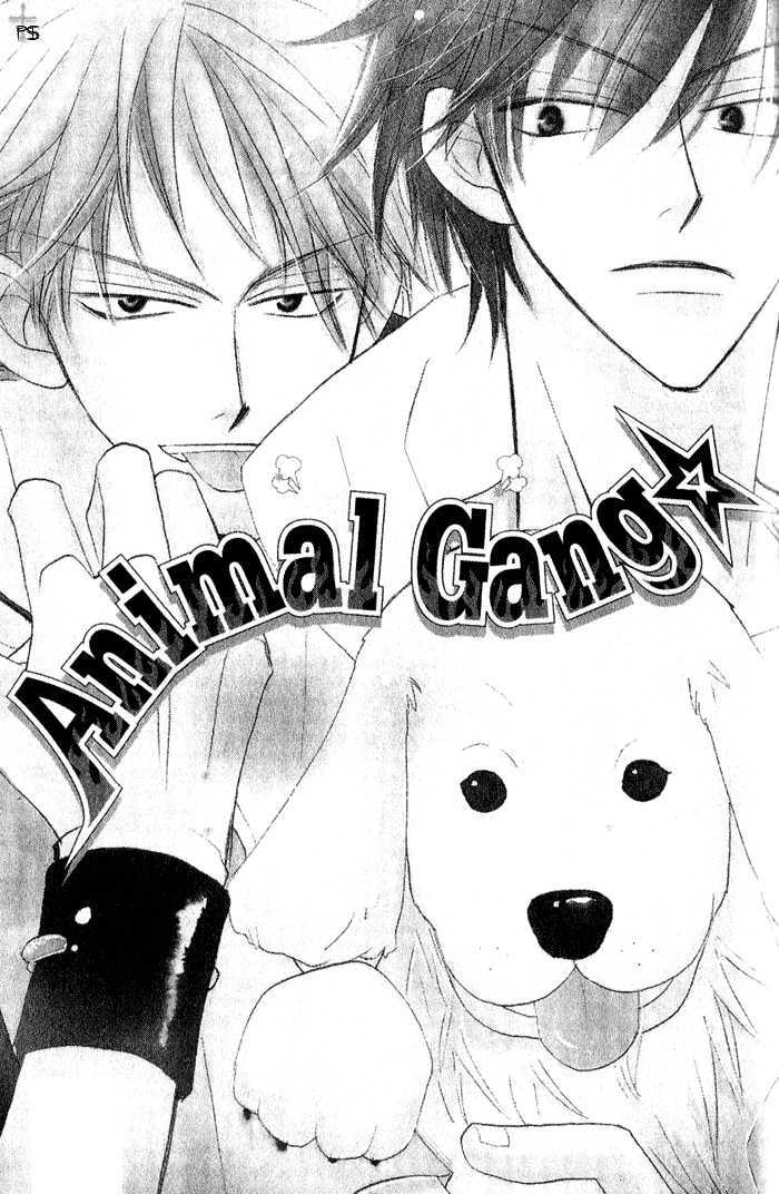 The Catharsis of Pure Love Or Not-Pure Love Chapter 4 page 2 - Chapter 4 : Animal Gang