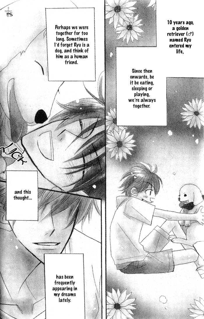 The Catharsis of Pure Love Or Not-Pure Love Chapter 4 page 3 - Chapter 4 : Animal Gang