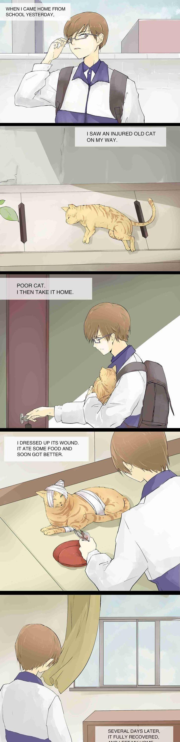 The Cat's Gratitude Chapter 1 page 1 - Chapter 1