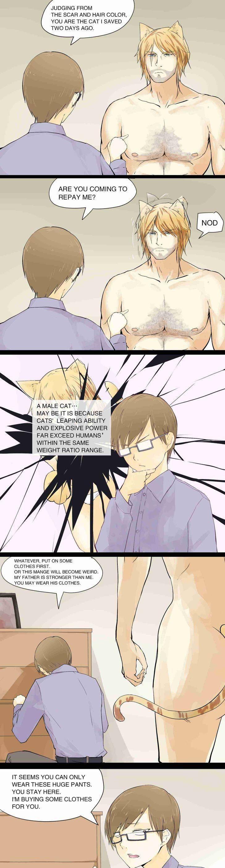 The Cat's Gratitude Chapter 2 page 1 - Chapter 2