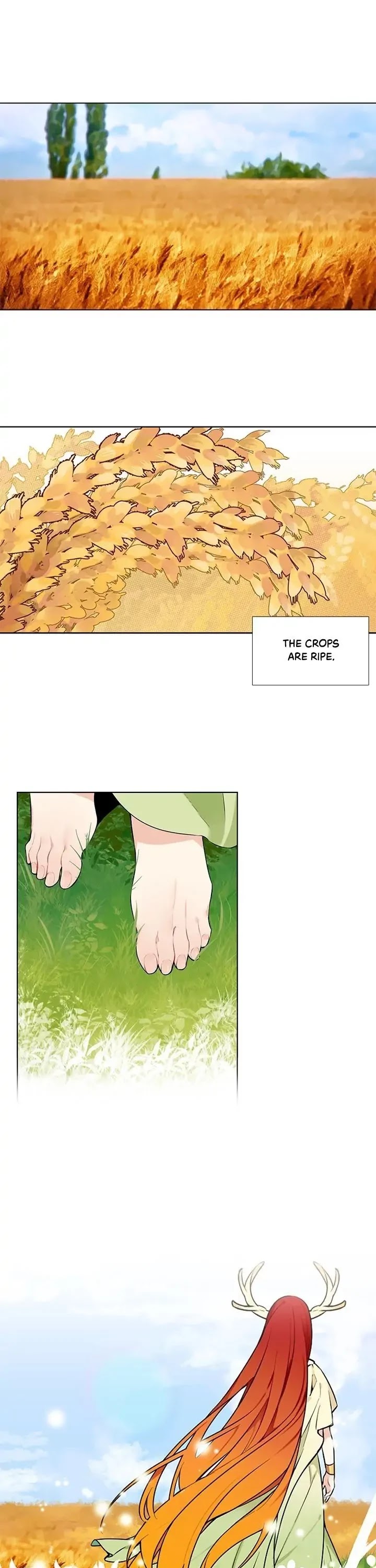 The Chef Hides His Blessing Chapter 15 page 1 - Chapter 15