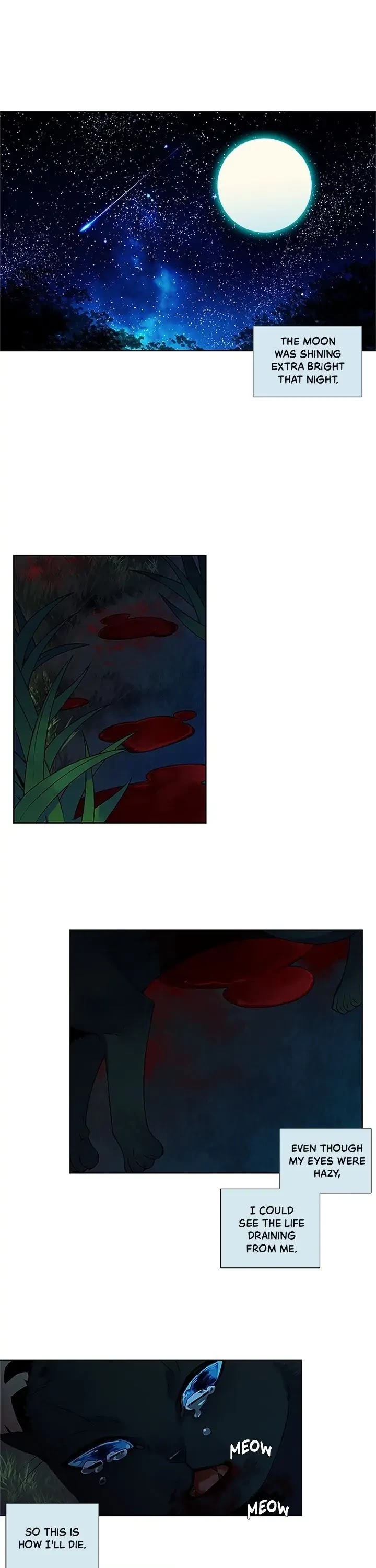 The Chef Hides His Blessing Chapter 26 page 1 - Chapter 26