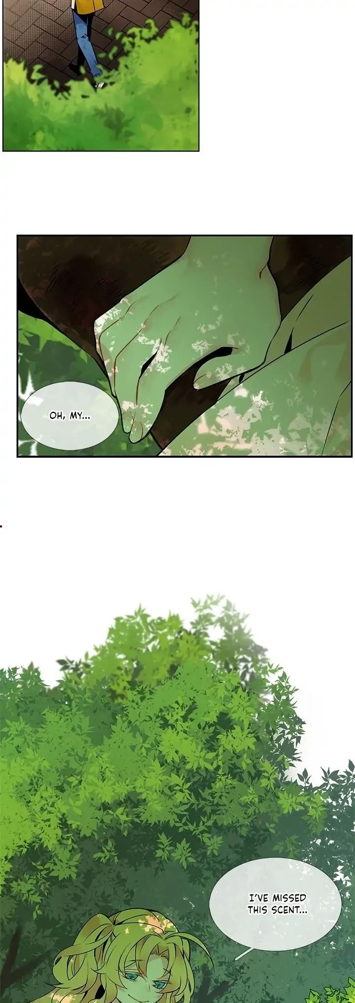 The Chef Hides His Blessing Chapter 28 page 21 - Chapter 28