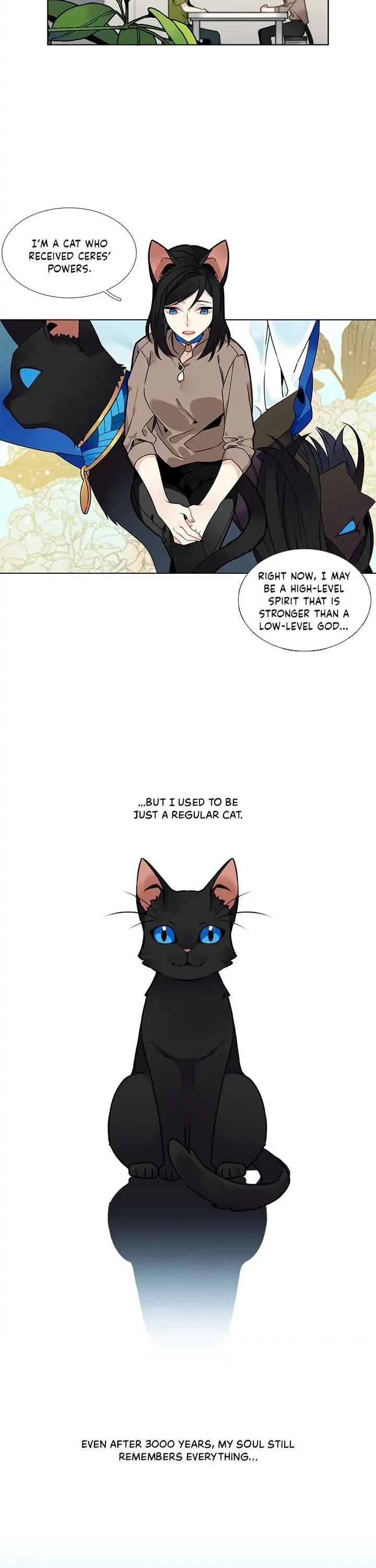 The Chef Hides His Blessing Chapter 36 page 22 - Chapter 36