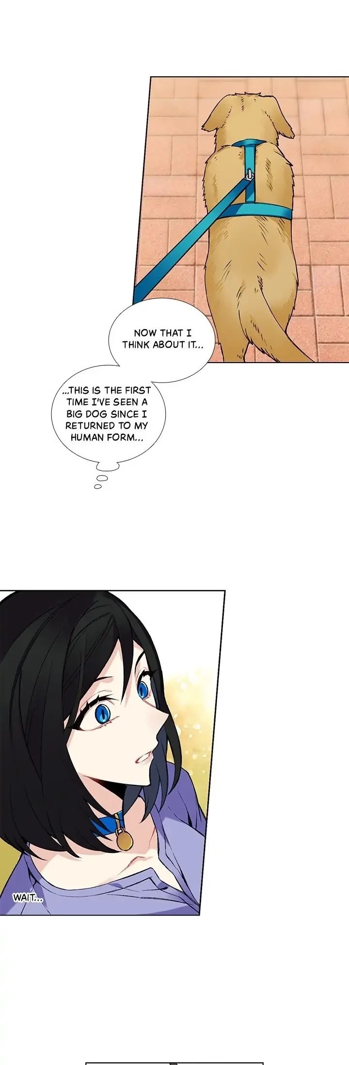 The Chef Hides His Blessing Chapter 46 page 12 - Chapter 46