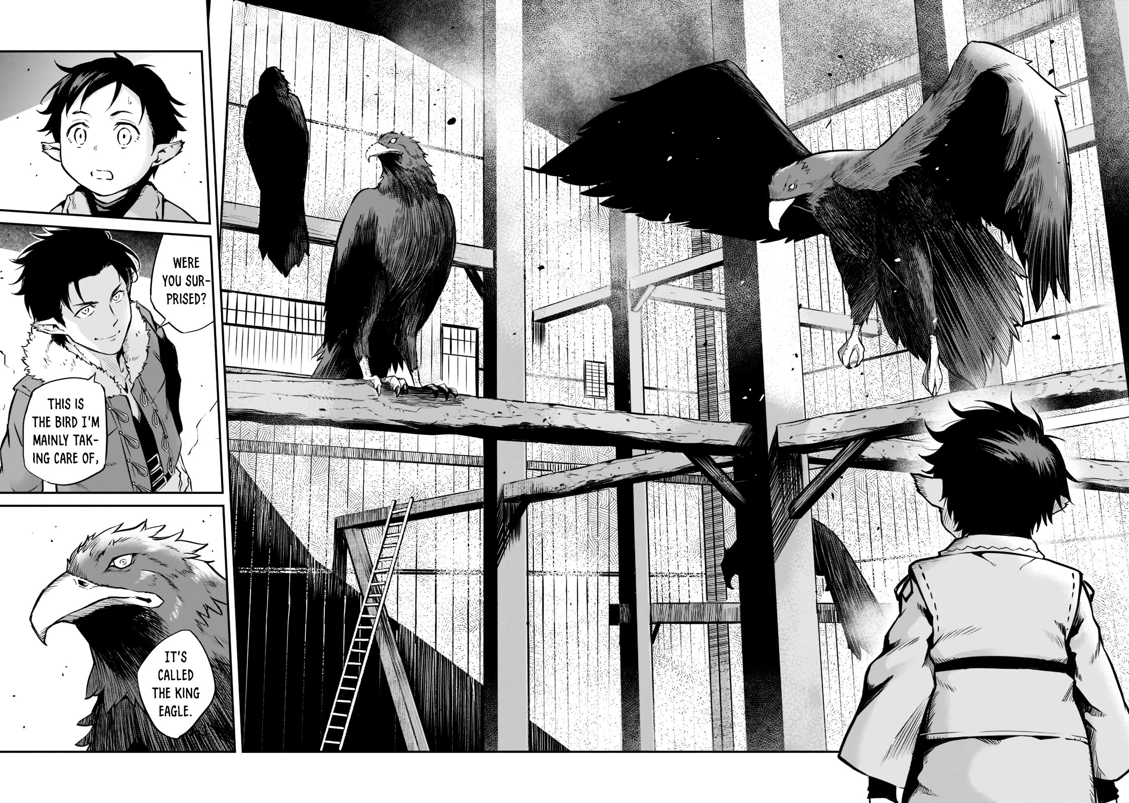 The Conqueror From a Dying Kingdom Chapter 1 page 34 - Chapter 1