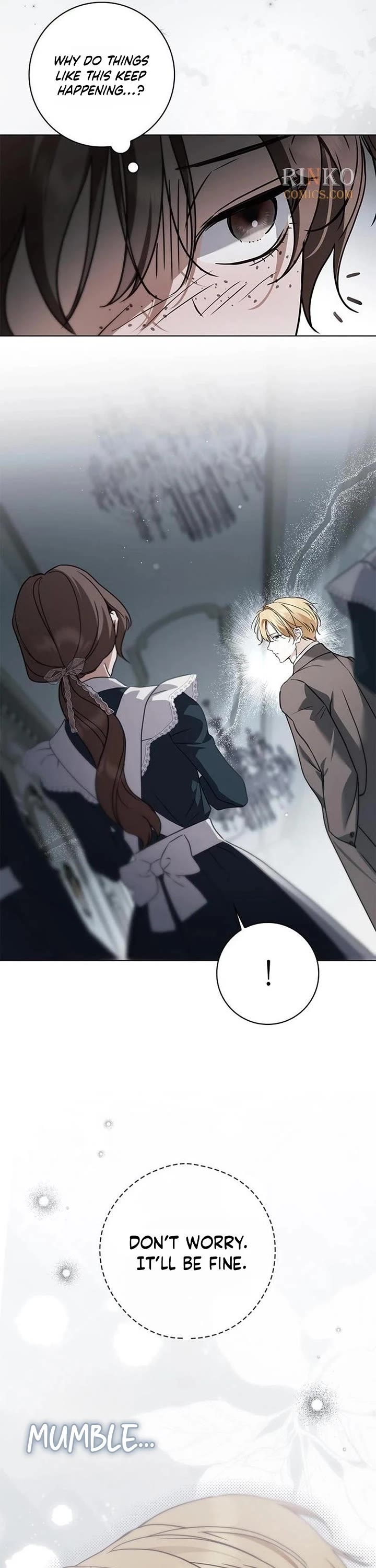 The Count's Secret Maid Chapter 102 page 27 - Chapter 102