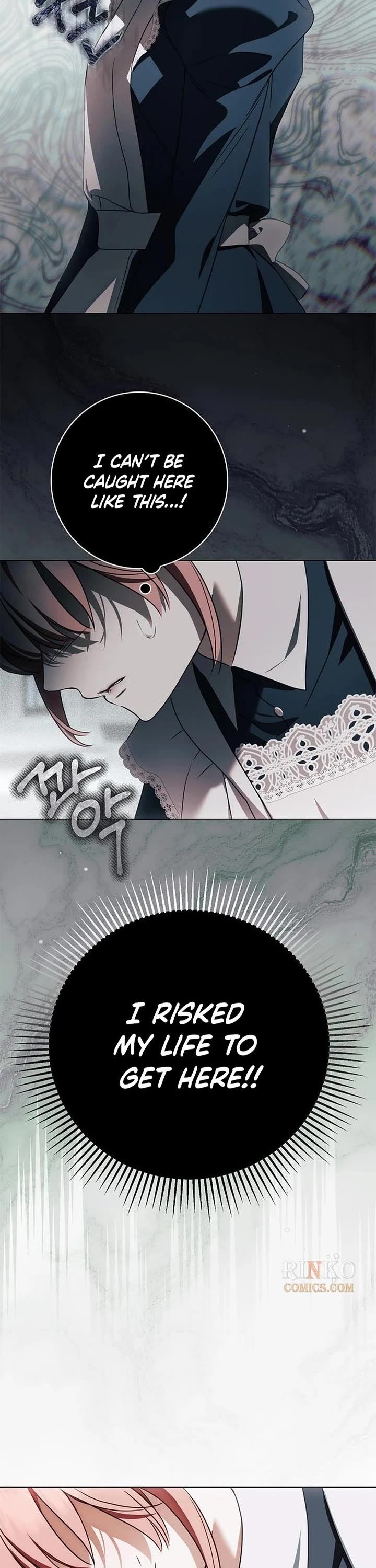 The Count's Secret Maid Chapter 103 page 25 - Chapter 103