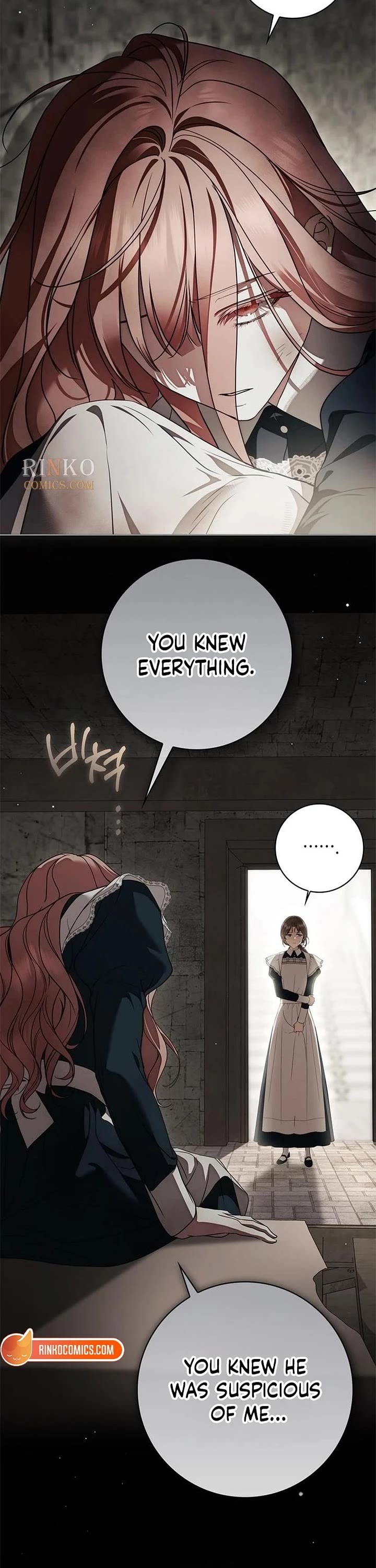 The Count's Secret Maid Chapter 106 page 2 - Chapter 106