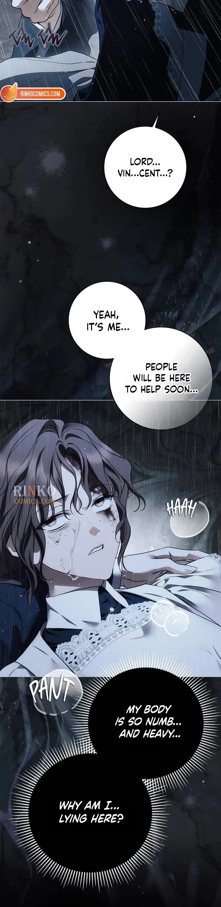 The Count's Secret Maid Chapter 108 page 24 - Chapter 108