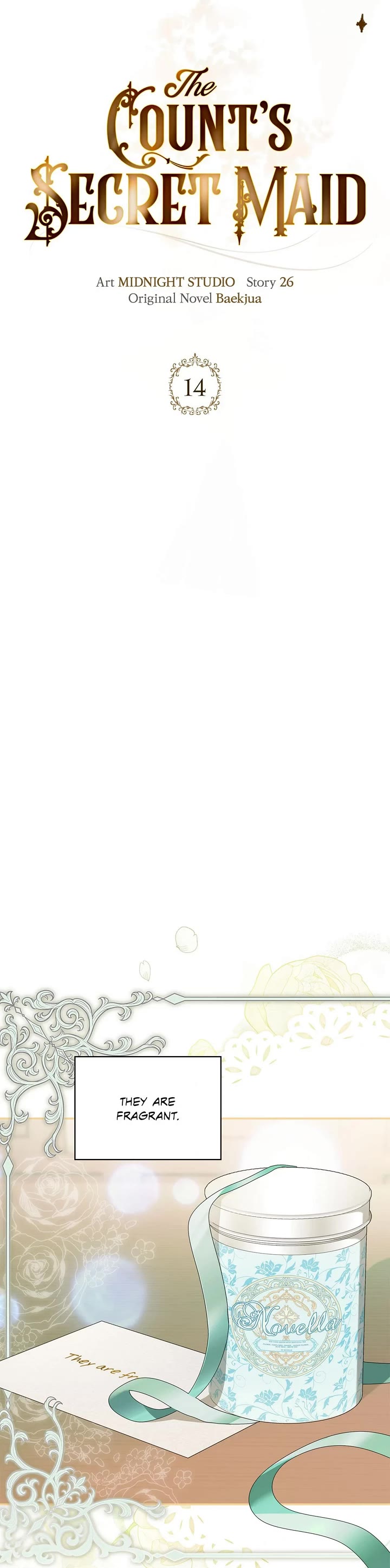 The Count's Secret Maid Chapter 14 page 20 - Chapter 14