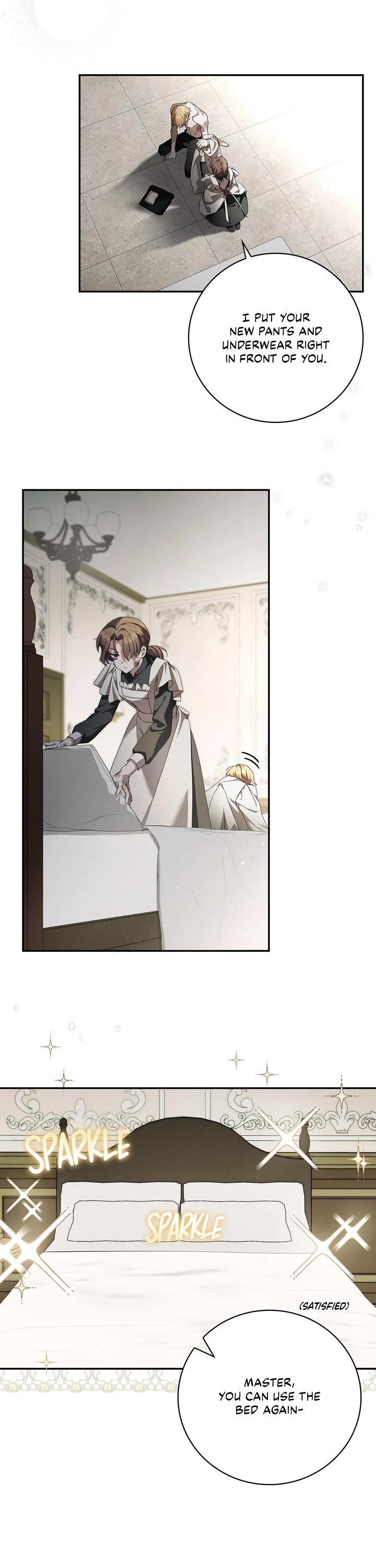 The Count's Secret Maid Chapter 3 page 27 - Chapter 3