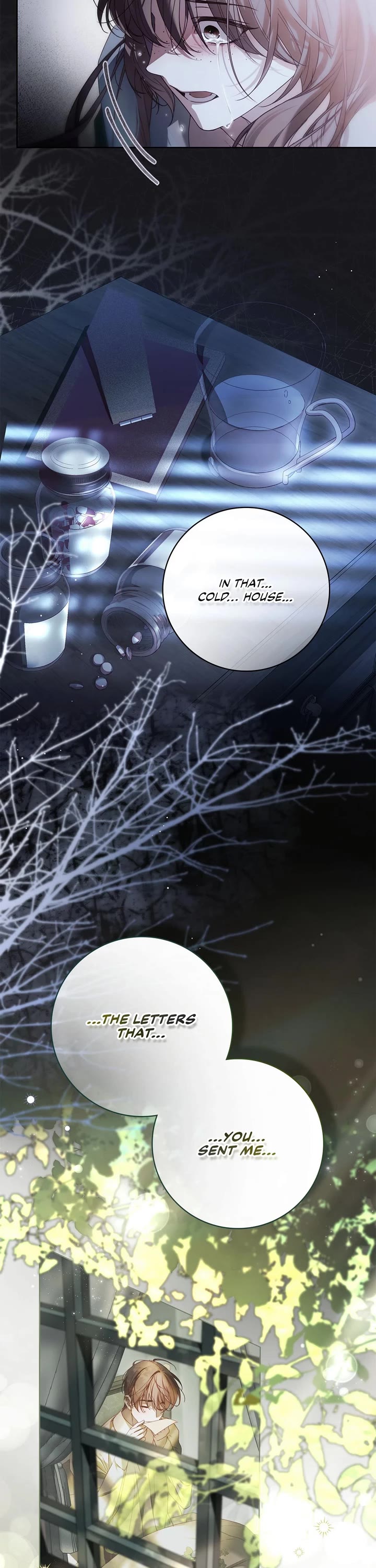 The Count's Secret Maid Chapter 41 page 23 - Chapter 41