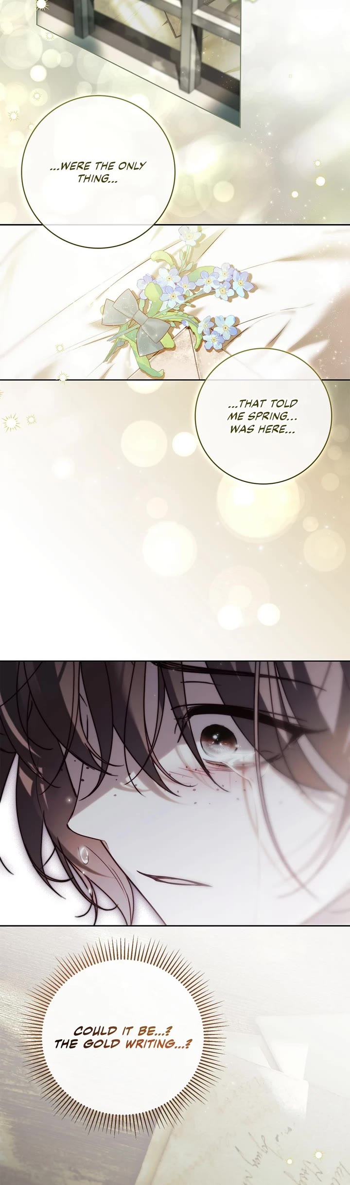 The Count's Secret Maid Chapter 41 page 24 - Chapter 41