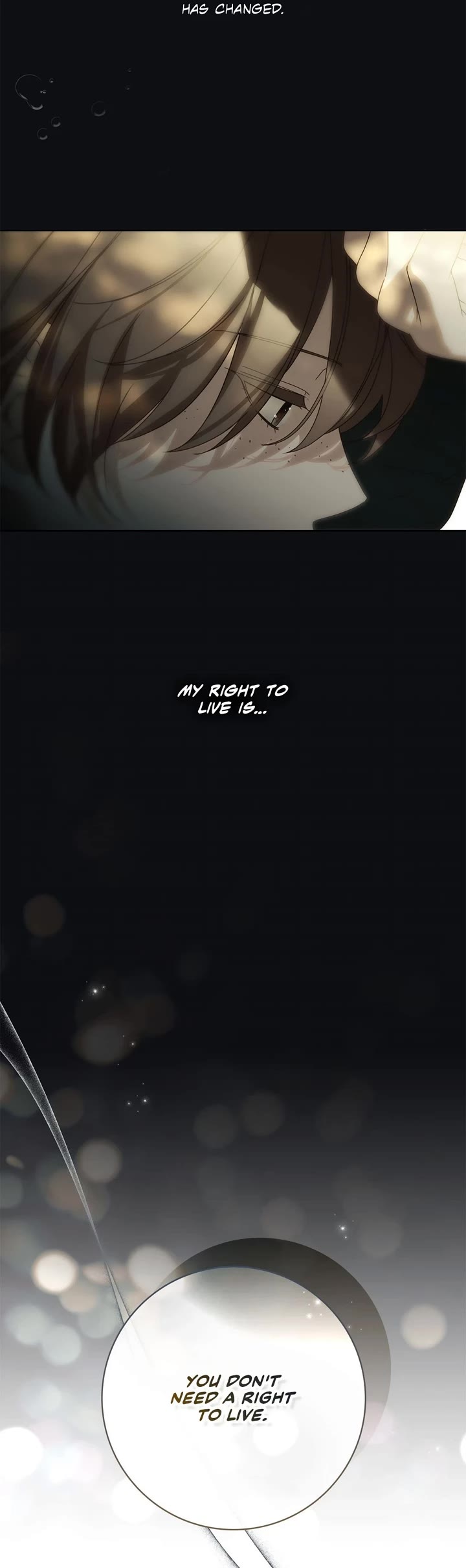 The Count's Secret Maid Chapter 44 page 20 - Chapter 44