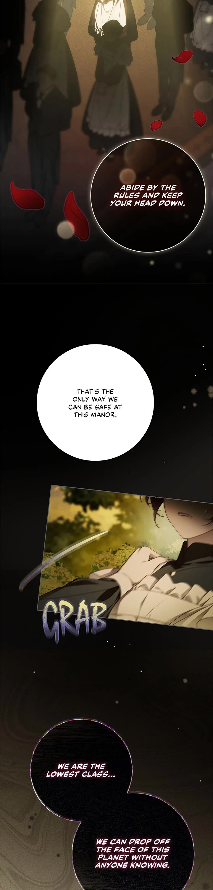 The Count's Secret Maid Chapter 46 page 11 - Chapter 46