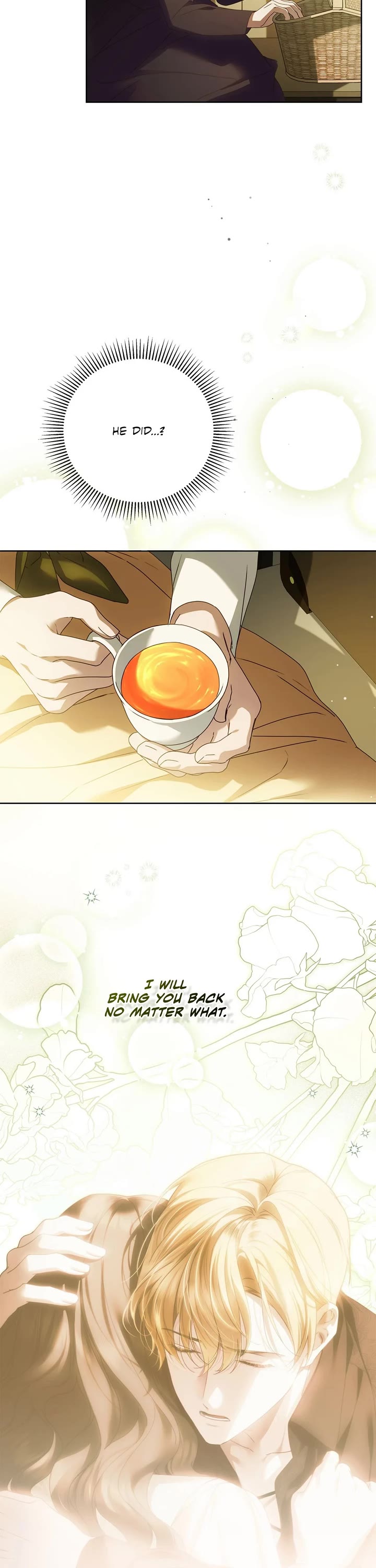 The Count's Secret Maid Chapter 46 page 28 - Chapter 46