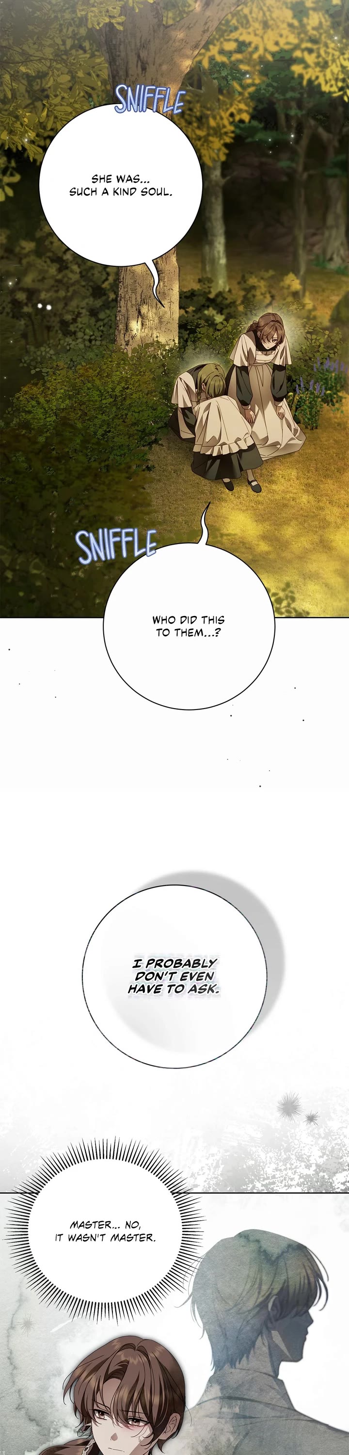 The Count's Secret Maid Chapter 46 page 7 - Chapter 46