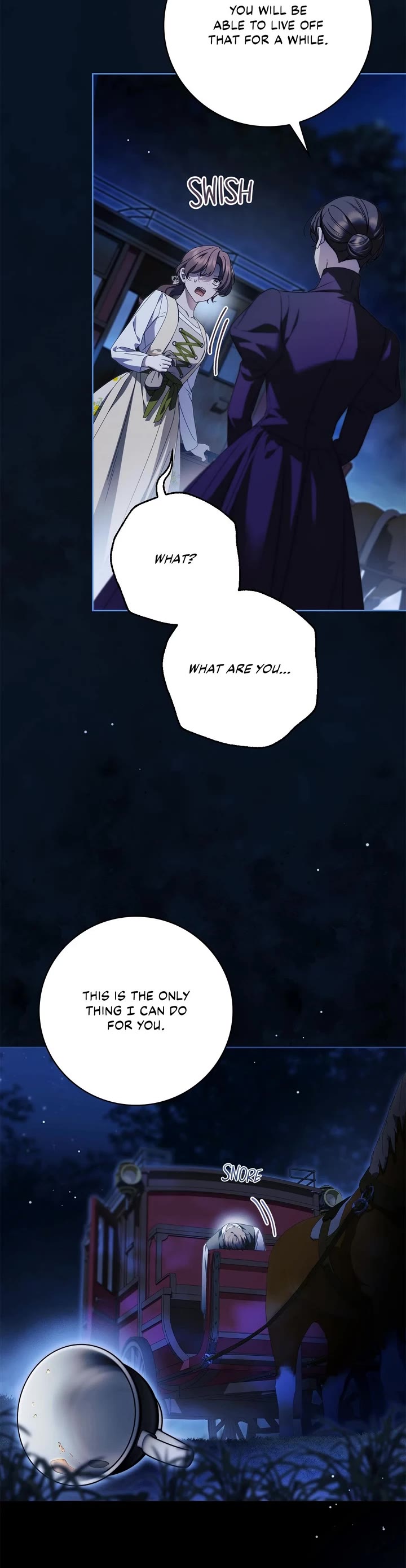 The Count's Secret Maid Chapter 47 page 9 - Chapter 47