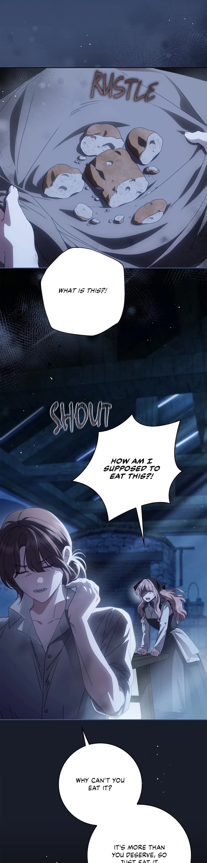 The Count's Secret Maid Chapter 50 page 11 - Chapter 50