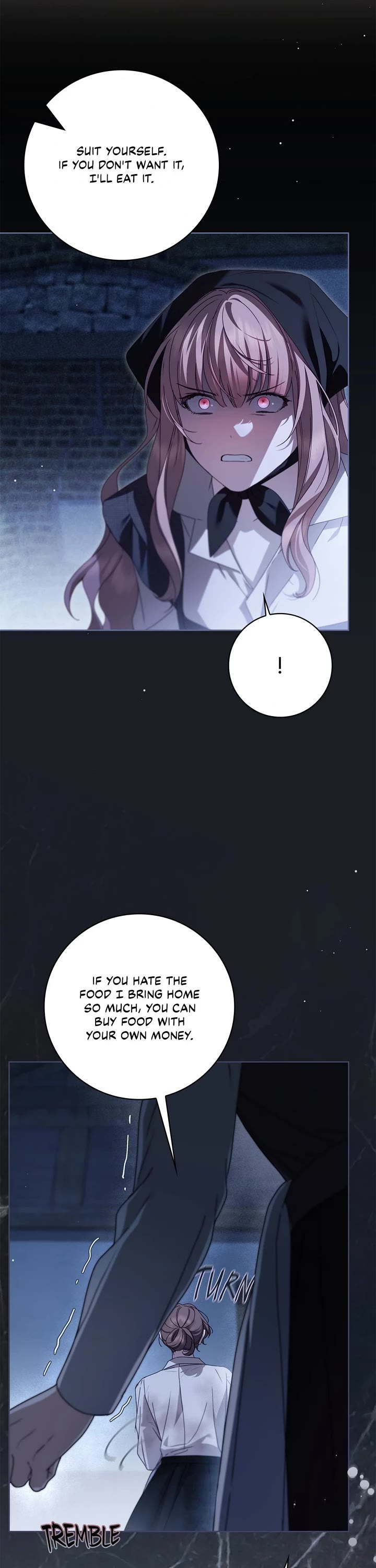 The Count's Secret Maid Chapter 50 page 21 - Chapter 50