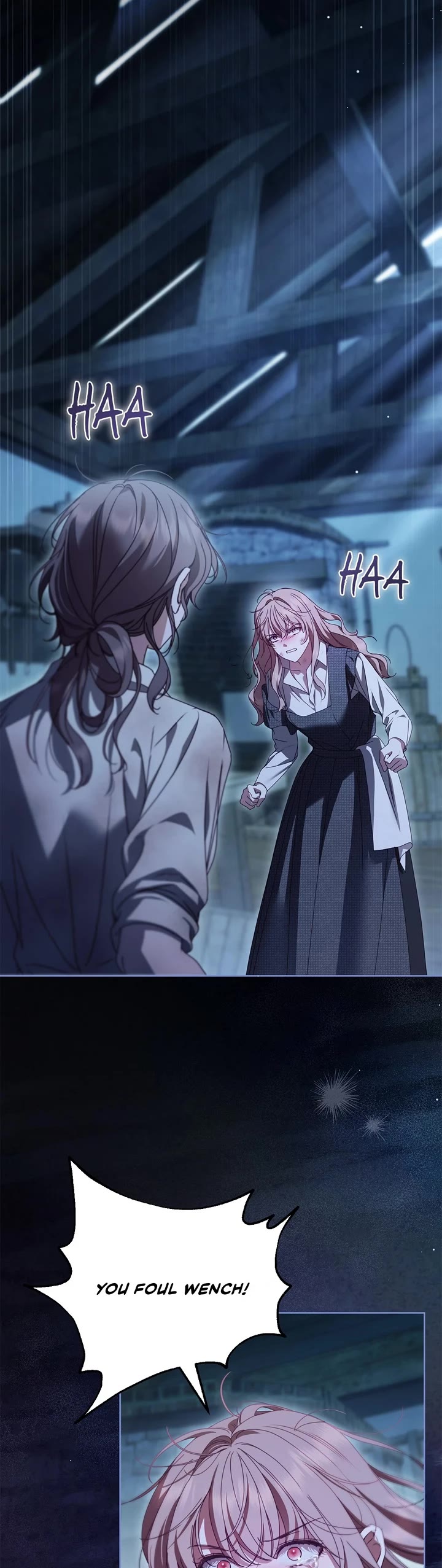 The Count's Secret Maid Chapter 50 page 25 - Chapter 50