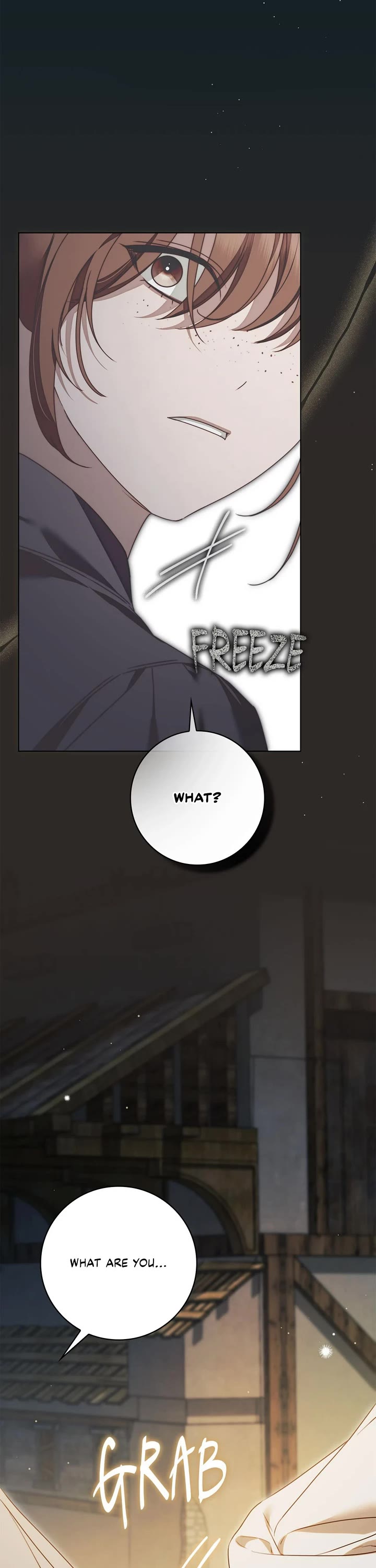The Count's Secret Maid Chapter 52 page 27 - Chapter 52