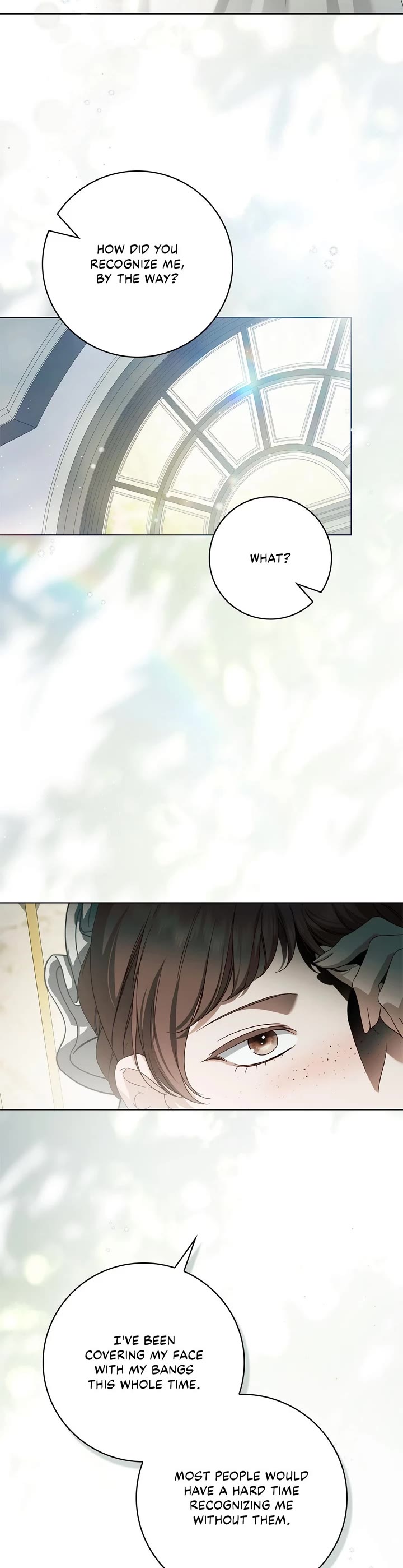 The Count's Secret Maid Chapter 54 page 15 - Chapter 54
