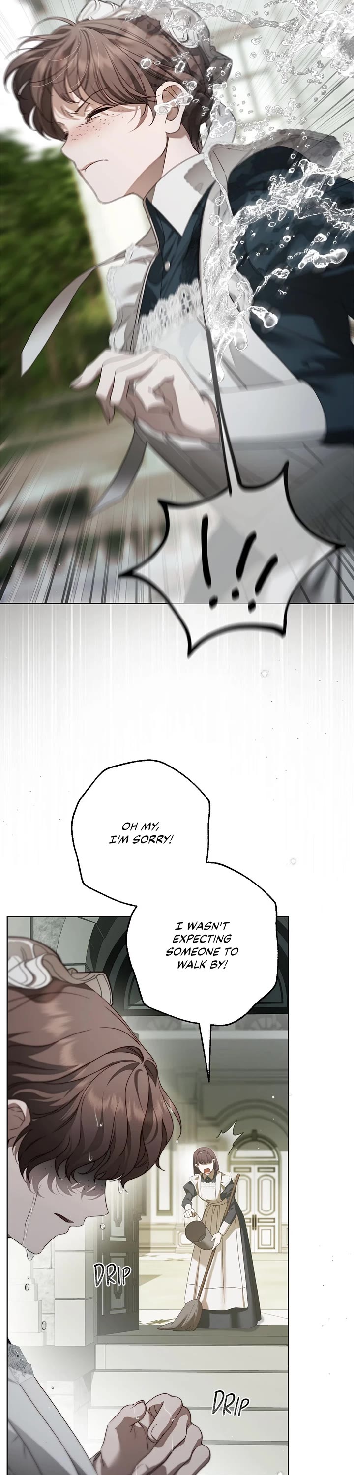 The Count's Secret Maid Chapter 60 page 18 - Chapter 60