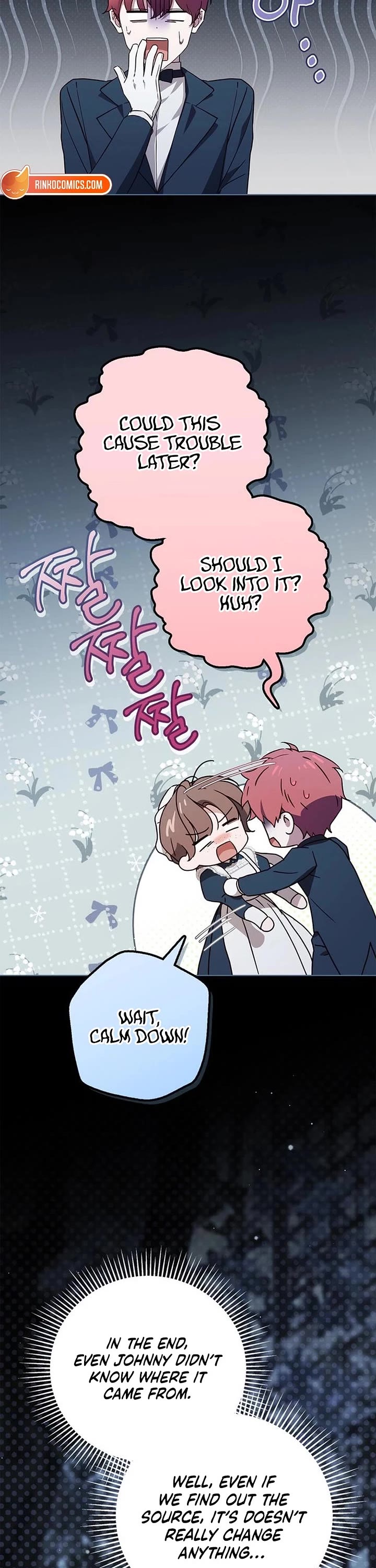 The Count's Secret Maid Chapter 65 page 3 - Chapter 65