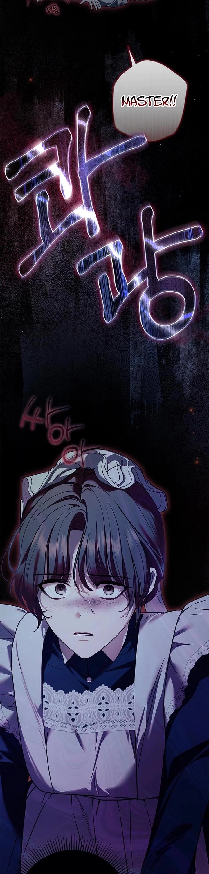 The Count's Secret Maid Chapter 66 page 26 - Chapter 66