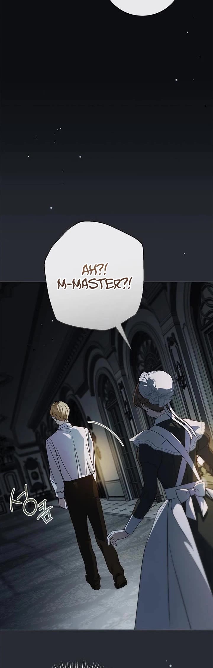 The Count's Secret Maid Chapter 66 page 9 - Chapter 66