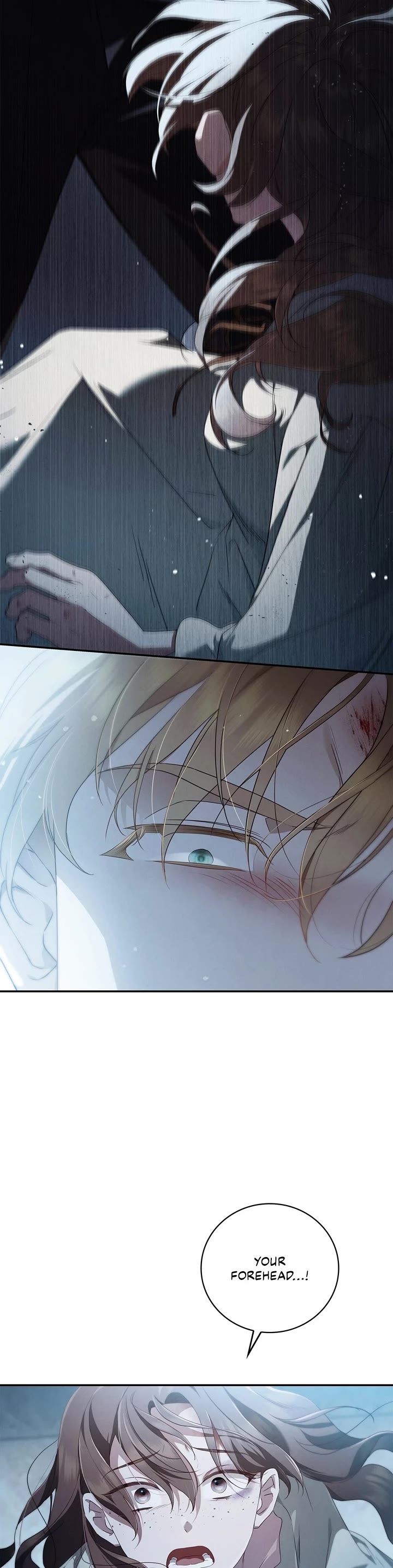 The Count's Secret Maid Chapter 7 page 15 - Chapter 7