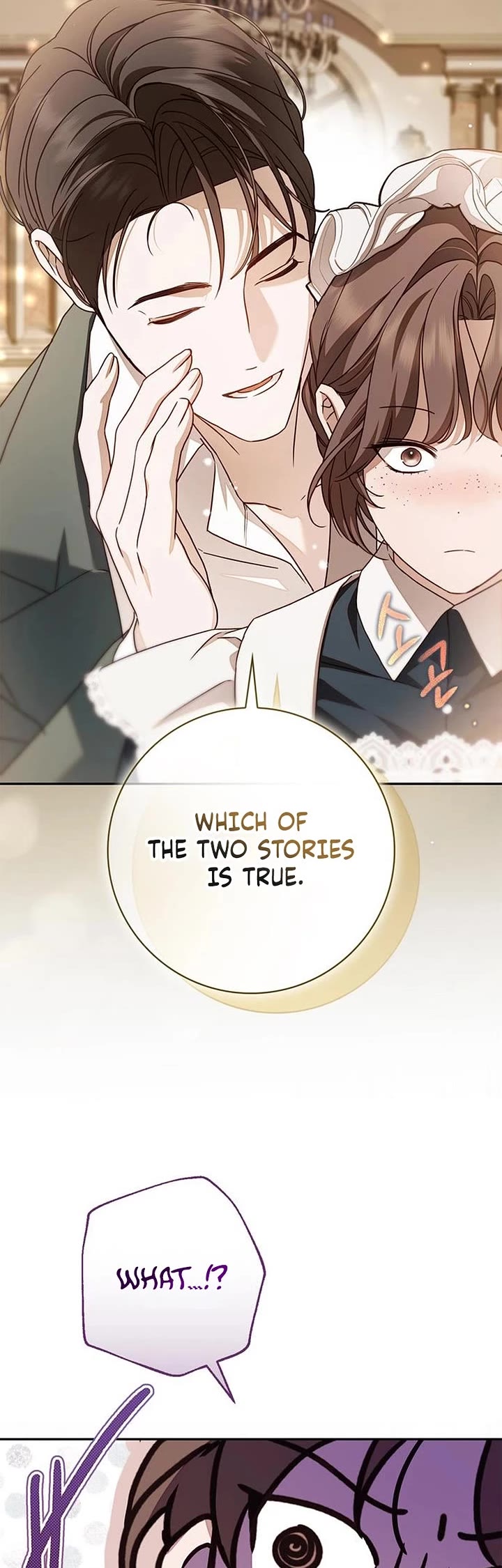 The Count's Secret Maid Chapter 71 page 14 - Chapter 71