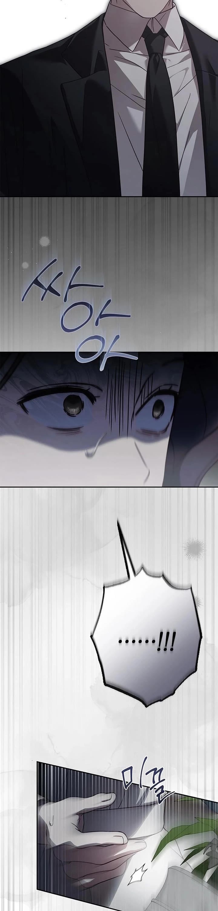 The Count's Secret Maid Chapter 71 page 37 - Chapter 71
