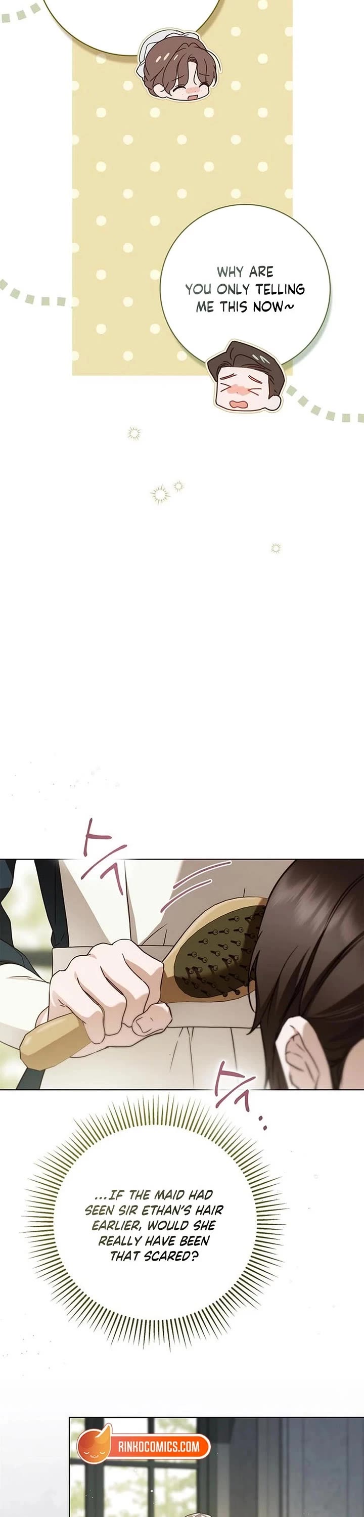 The Count's Secret Maid Chapter 72 page 8 - Chapter 72