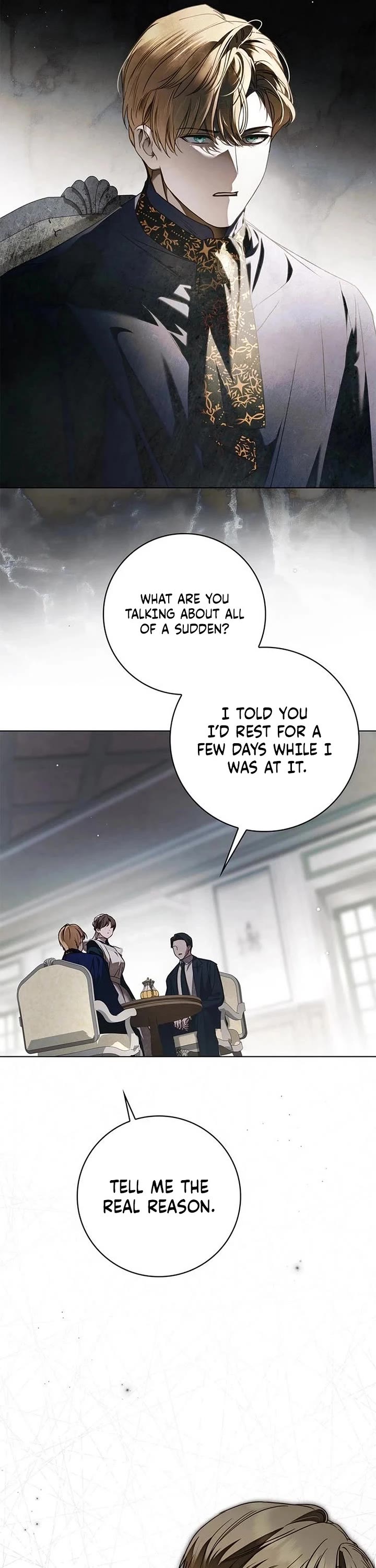 The Count's Secret Maid Chapter 73 page 27 - Chapter 73