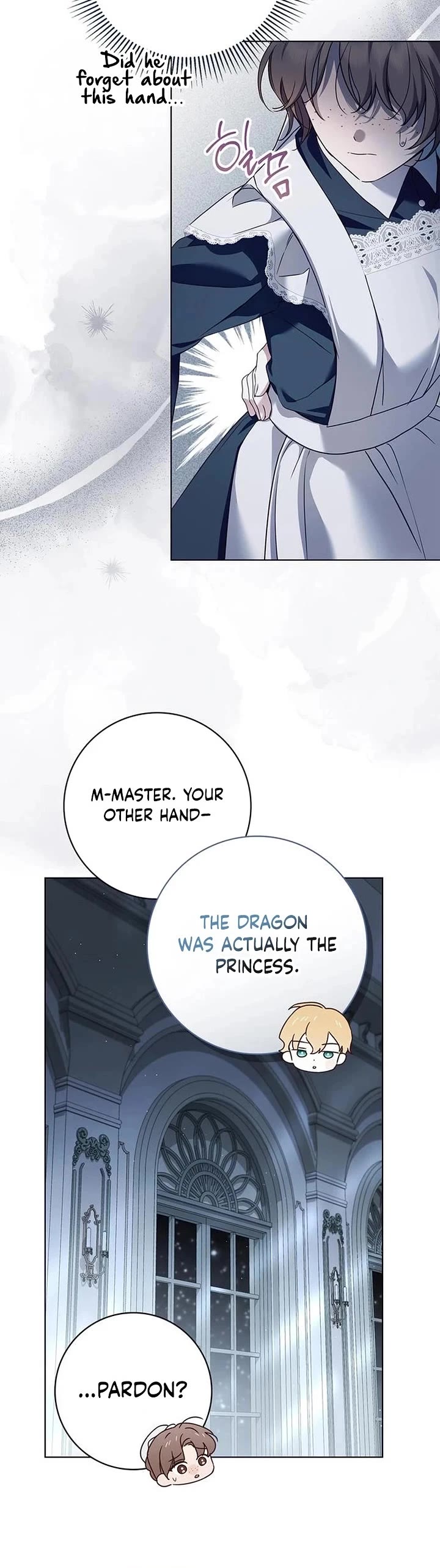 The Count's Secret Maid Chapter 79 page 17 - Chapter 79