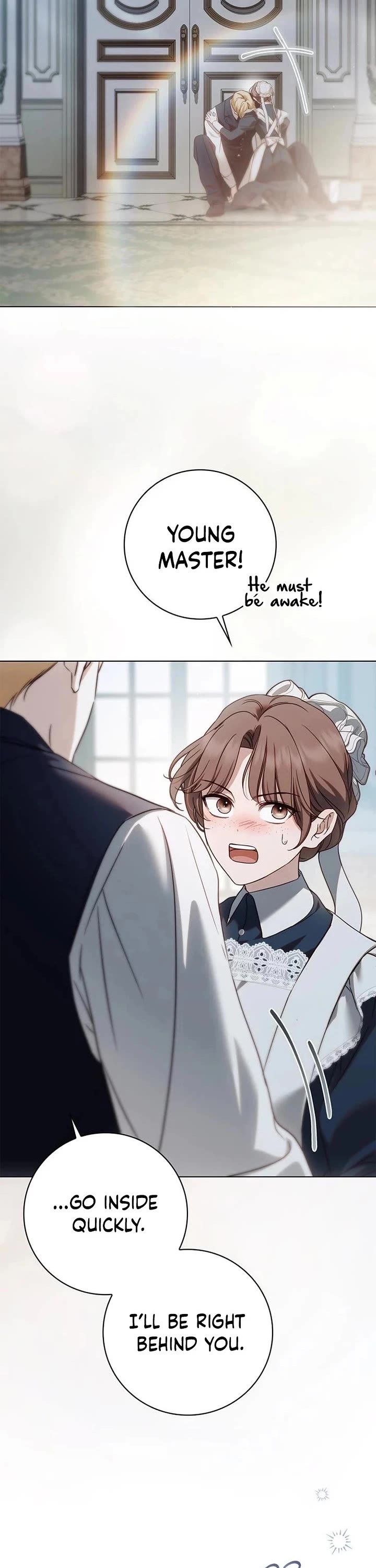 The Count's Secret Maid Chapter 79 page 25 - Chapter 79
