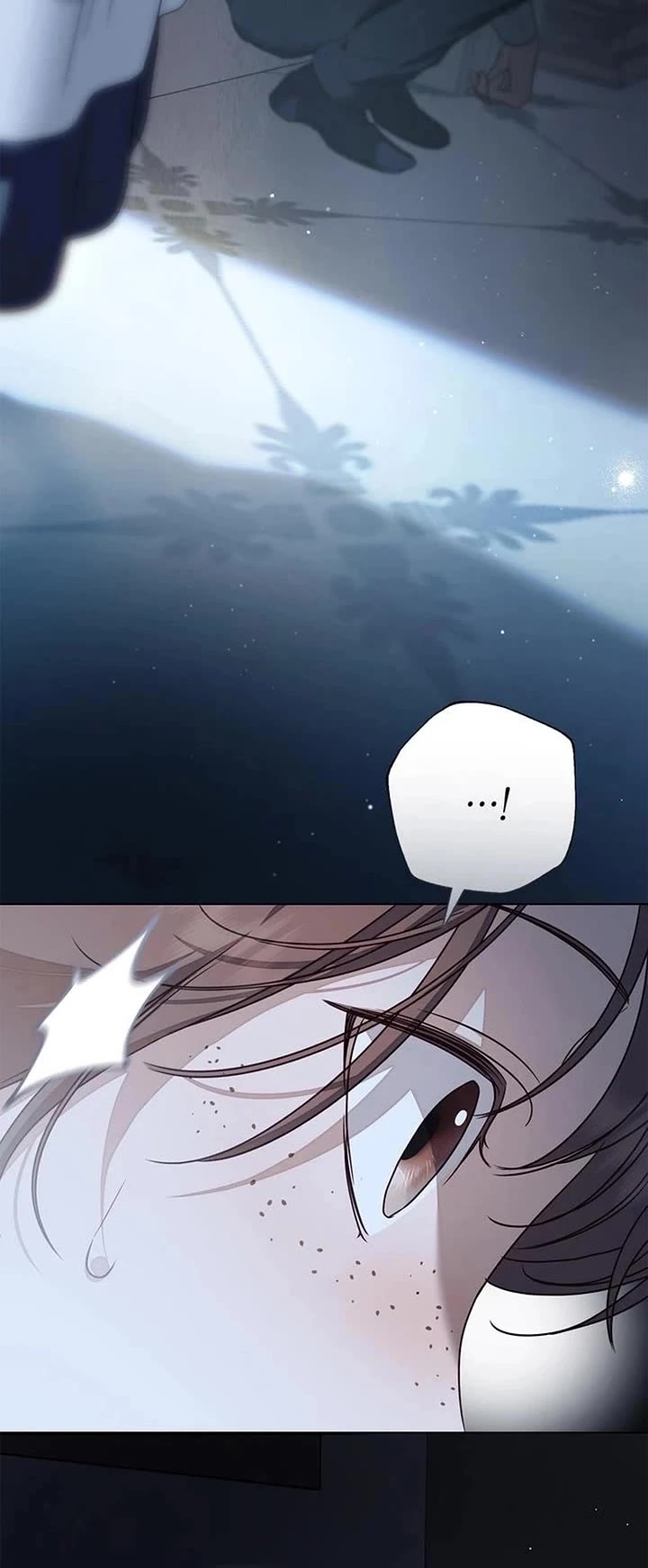 The Count's Secret Maid Chapter 79 page 4 - Chapter 79