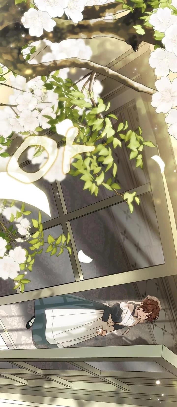 The Count's Secret Maid Chapter 81 page 4 - Chapter 81